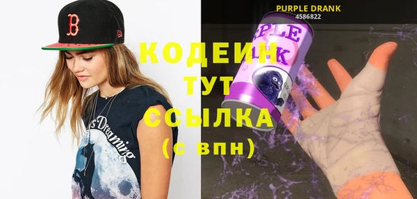 эйфоретик Вяземский