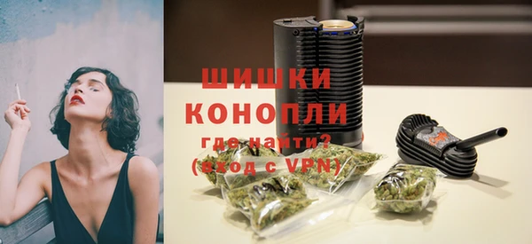 эйфоретик Вяземский