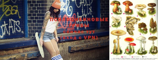 прущий лед Вязники