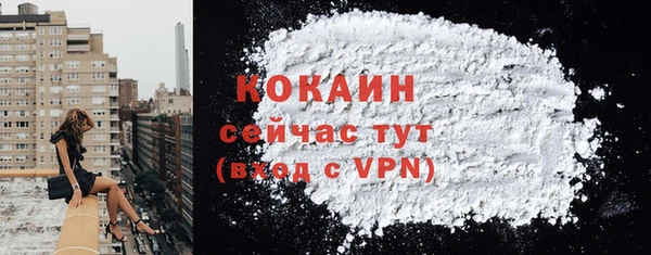 эйфоретик Вяземский