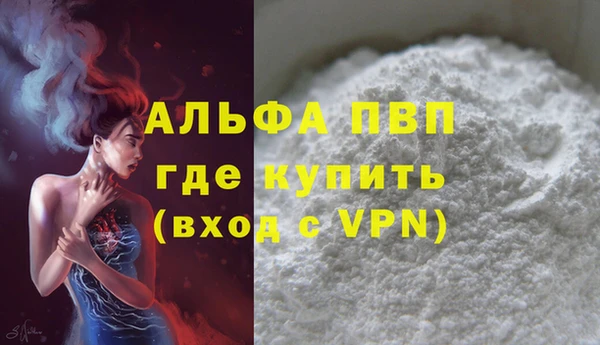 эйфоретик Вяземский